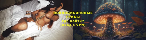 ALPHA PVP Алексин
