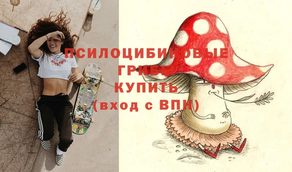 МДПВ Алексеевка