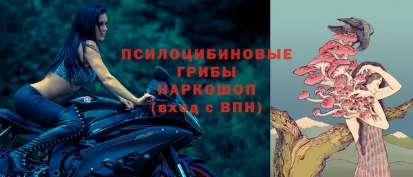 ALPHA PVP Алексин